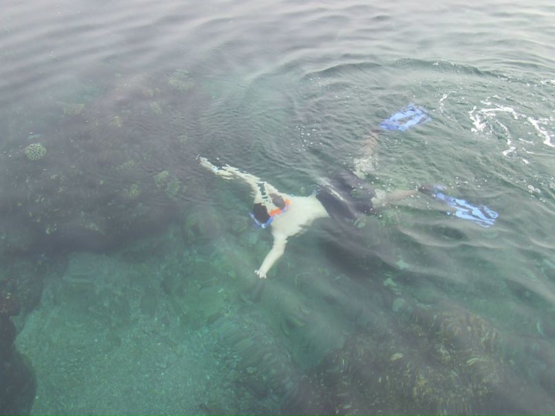 Алексей Грибельников | Самара