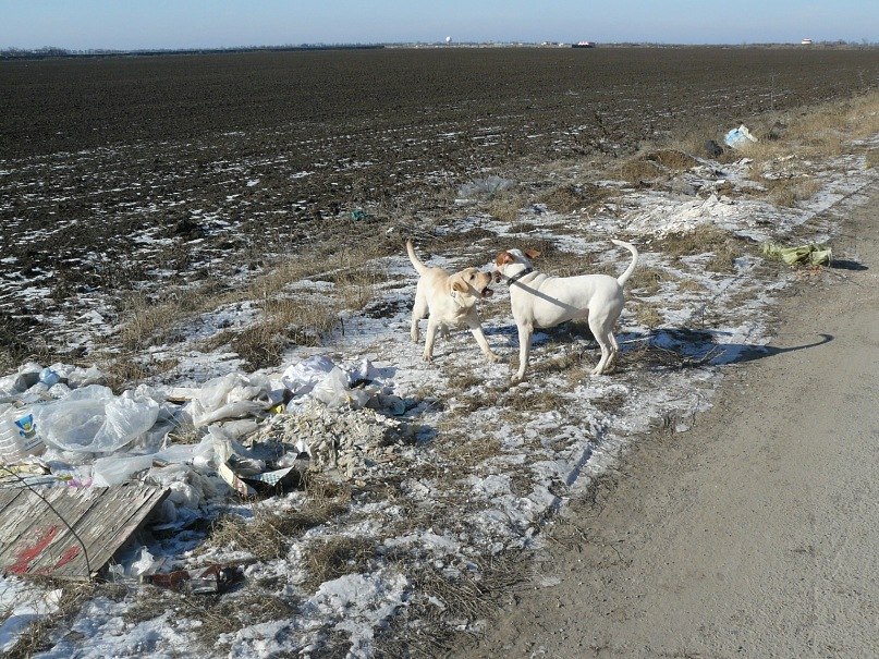 Инна Ошовская | Одесса