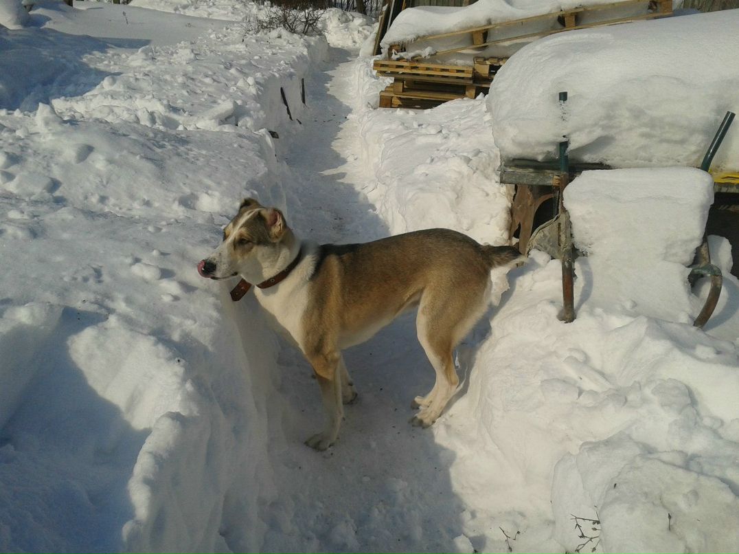 Татьяна Полушина | Москва