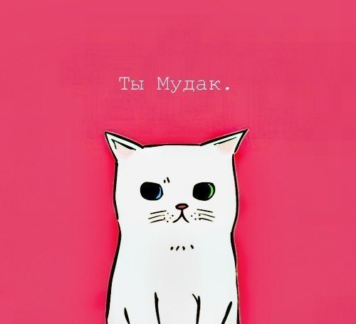 Алекс Шадрин LEKS | Санкт-Петербург