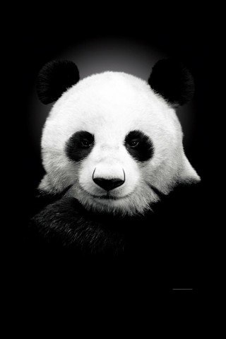 Lenochka Semynina | Усинск