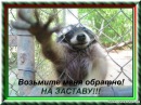 Фотография Морина Сергея
