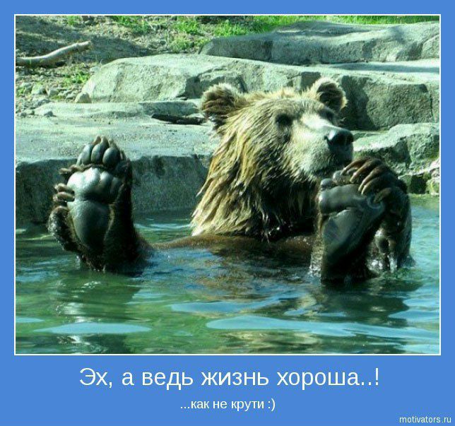№1, Алексей Соловей, 43 года №1, Алексей Соловей, 43 года