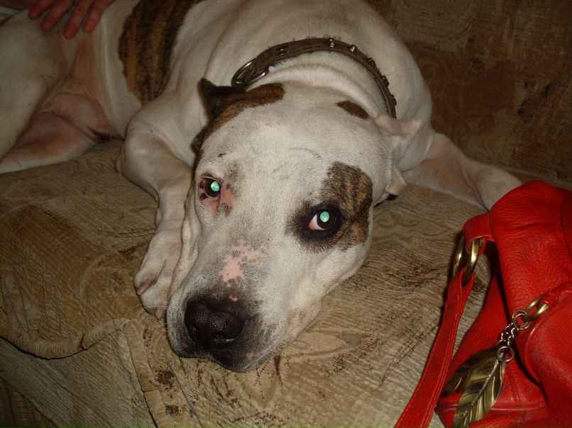 Антон Науменко ДоН  АнТоНиО | Киев