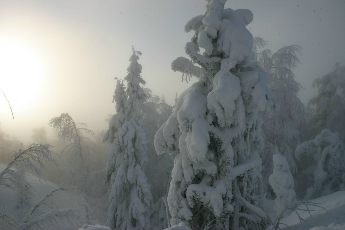 Екатерина Филимонова | Москва