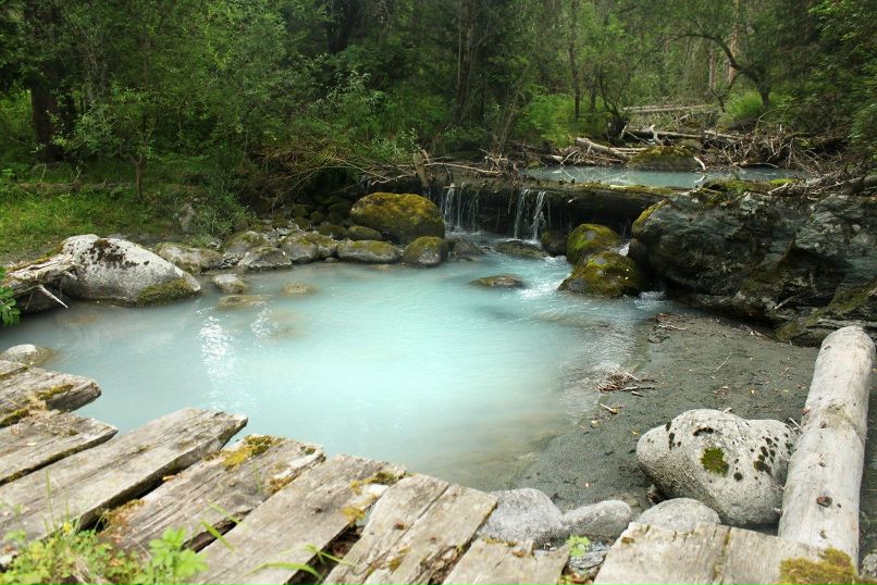 Виолетта Корконосова | Salt Lake City
