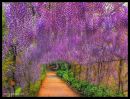 №7 Анастасия Щукина 24.08.1983: профиль, фото, статус - ВКонтакте №7 Анастасия Щукина 24.08.1983: профиль, фото, статус - ВКонтакте