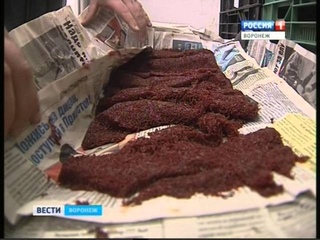 Управлением Россельхознадзора задержано более  5 тонн мотыля, следовавшего из Украины,