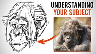 Improve Your Designs with Shape Breakdowns