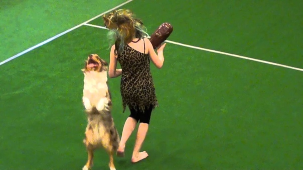 Dog Dance Turnier Langenwang 2011, Vanda Brandy, 1. Platz Klasse