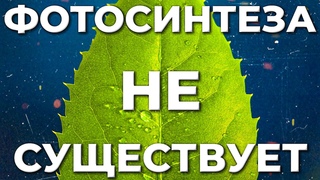 ЧТО НЕ ТАК С  ФОТОСИНТЕЗОМ ТОП-7 вопросов к теории газообмена растений
