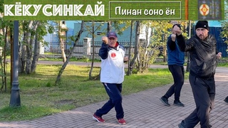 Кёкусинкай / 3 кю / Пинан соно ён / Внутренняя работа - направленное усилие  ()