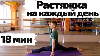 Растяжка на каждый день