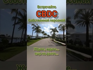 ЦИФРОВЫЕ ДЕНЬГИ CBDC С ДАТОЙ ОБНУЛЕНИЯ