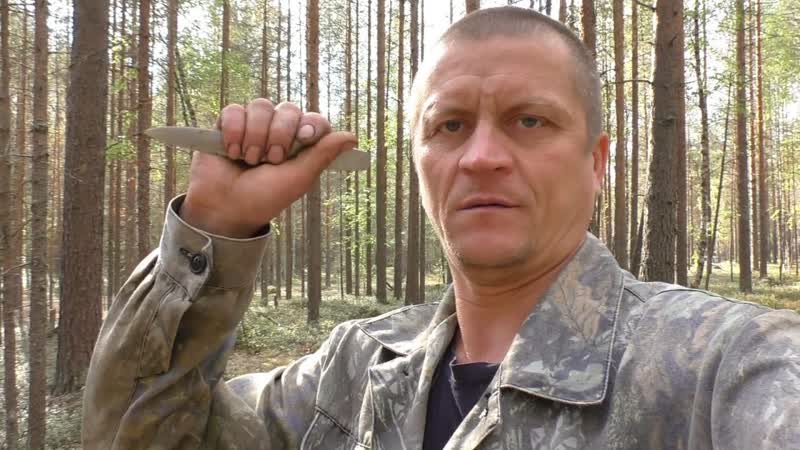 Приехал в лес за А там везде