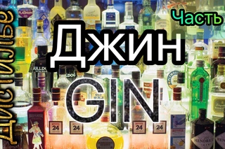 Джин в домашних условиях.