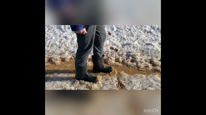 Пермский край. Тестирование нордман
