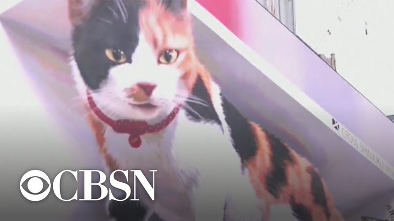 Giant 3 D cat prowls over