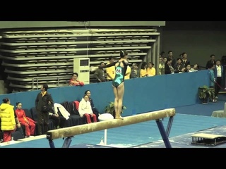 2013 Gymnastics World Championships.