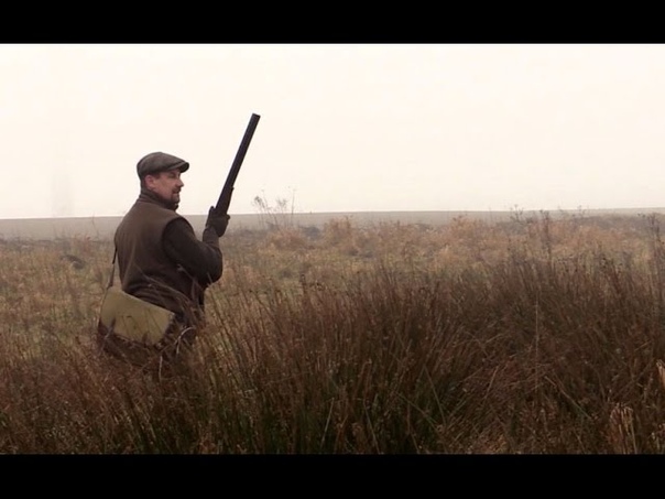 The Shooting Show rough shooting in the fog at Burton