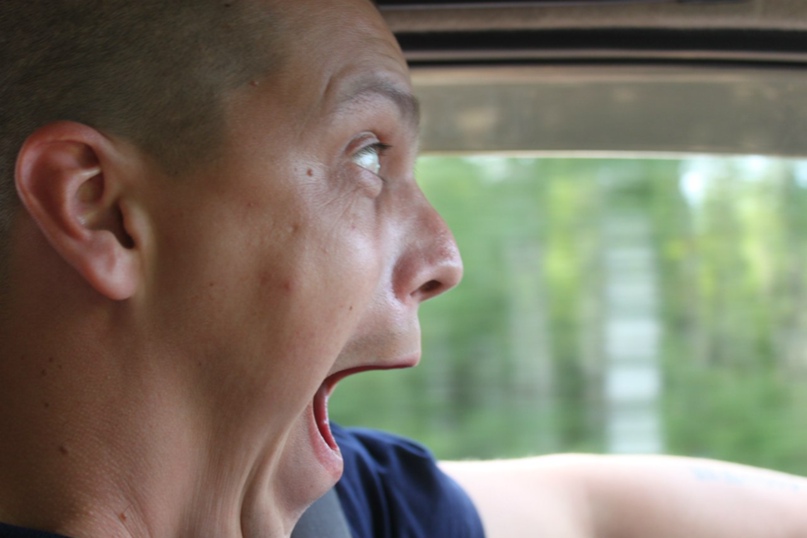 Роман Дятлов | Выборг