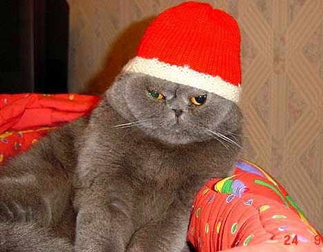 Семен Коробков | Пенза