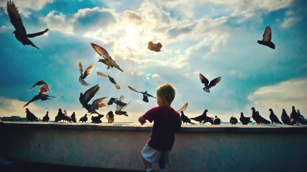 Денис Дегтярев |