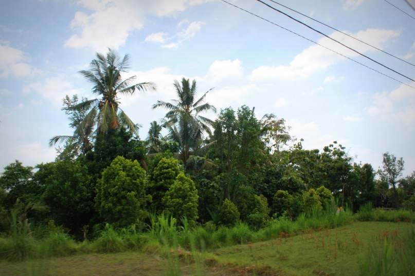 Елена Большакова | Королёв