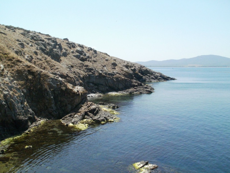 Владимир Соколов | Москва