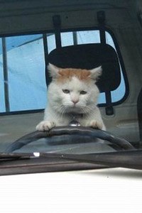 Наталья Коробейникова | Казань