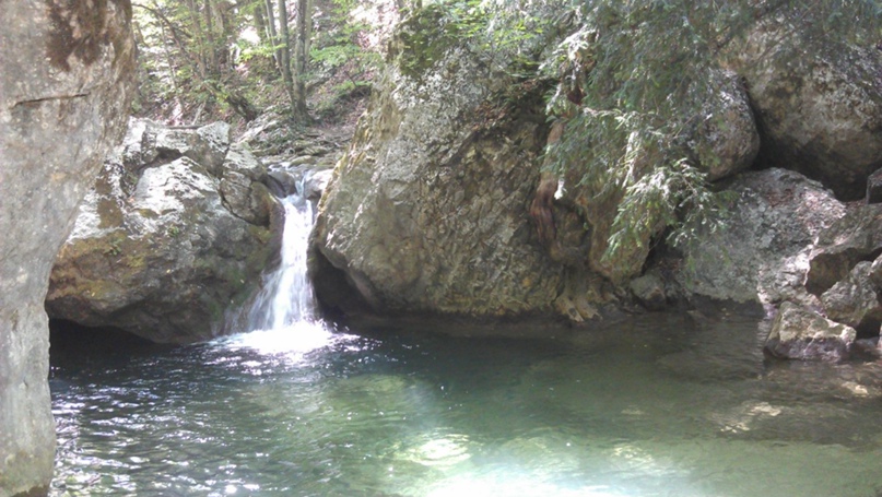 Дима Кунаков | Санкт-Петербург