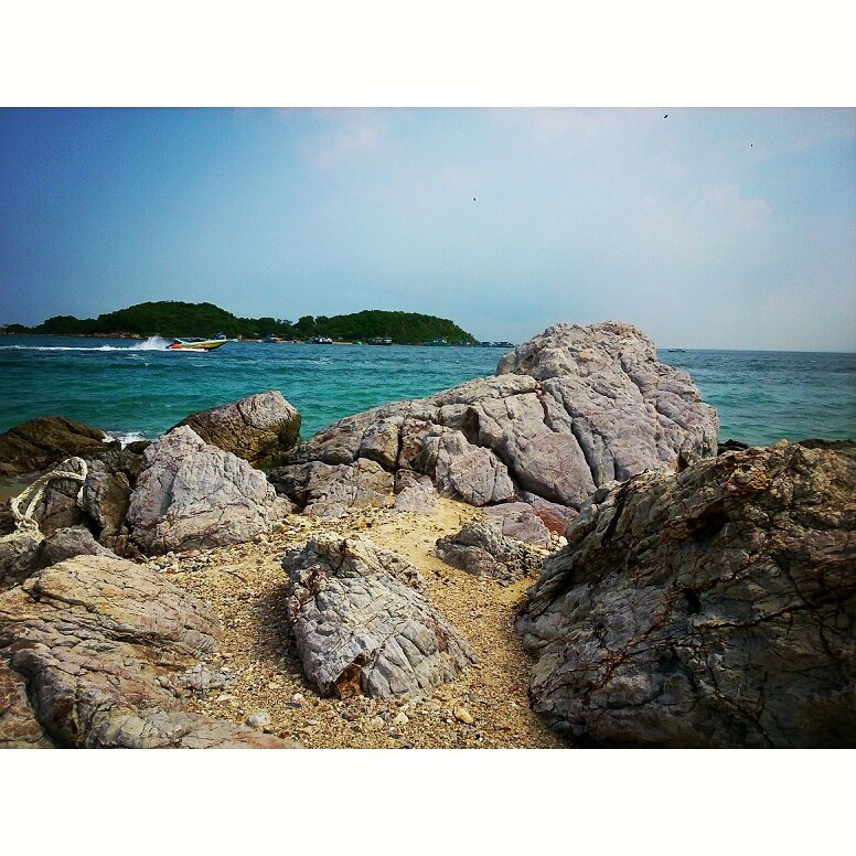 Алексей Степанов | Москва