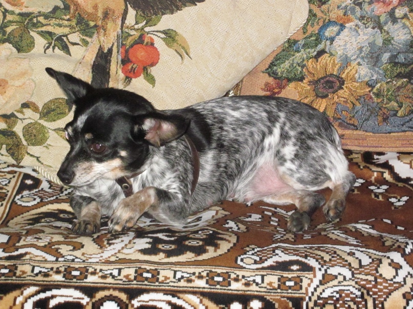 Ирина Забродина | Кандалакша