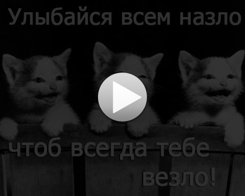 Мария Кузьмина | Санкт-Петербург