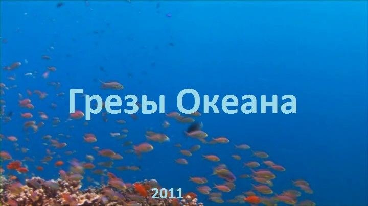 Александра Кутузова | Мценск