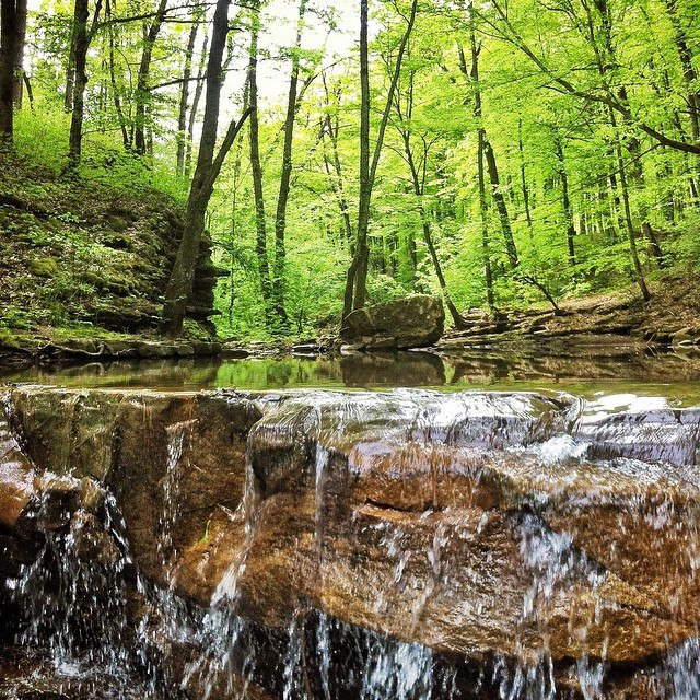 Snooze ... | Санкт-Петербург