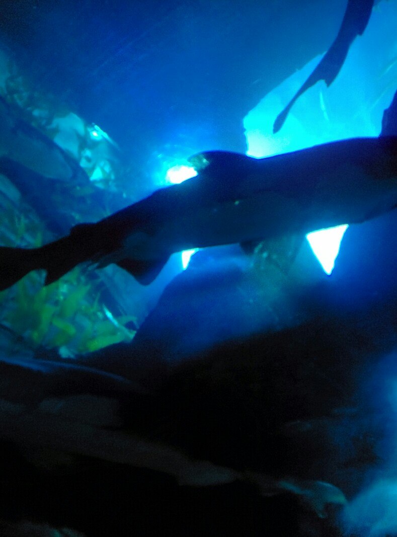 Владислав Федотов | Ковров