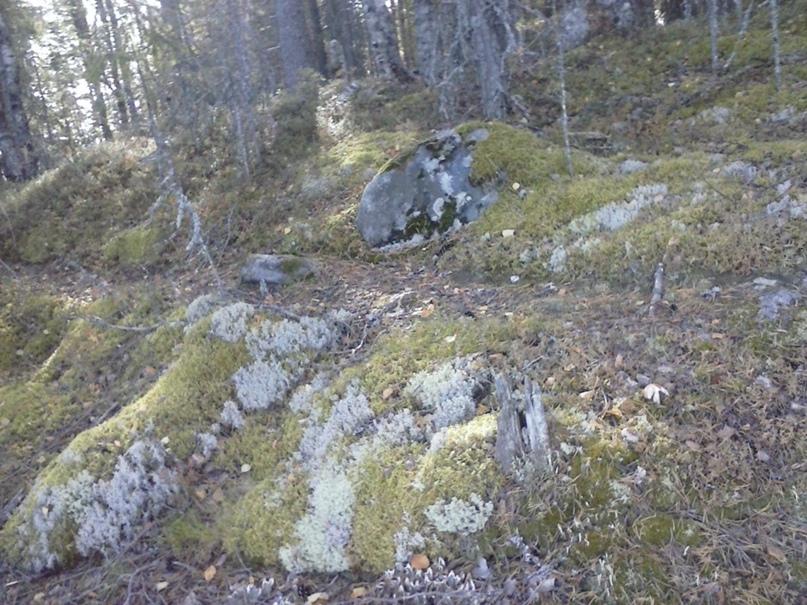 Алексей Тришин | Калуга