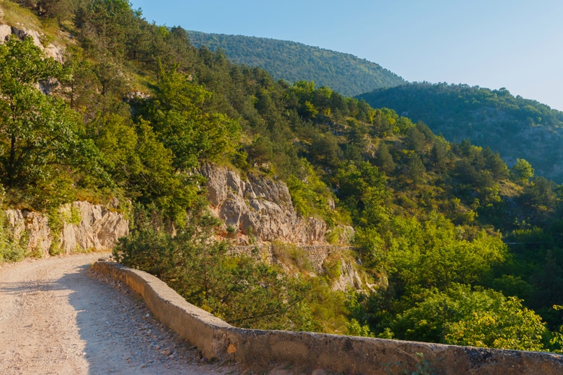 Александр Паньков | Санкт-Петербург