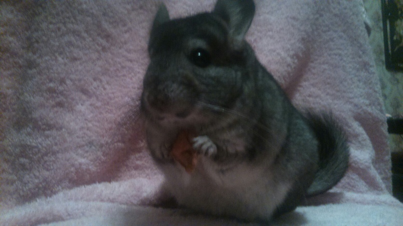 Оксана Симонова | Санкт-Петербург