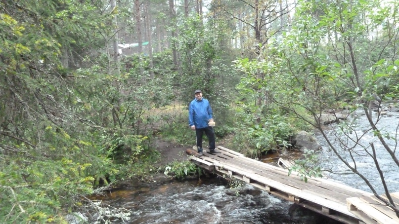 Татьяна Ноздрачева | Апатиты