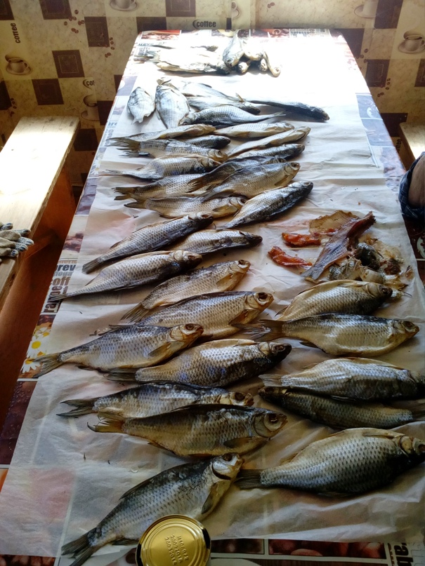 Елена Ключева | Йошкар-Ола