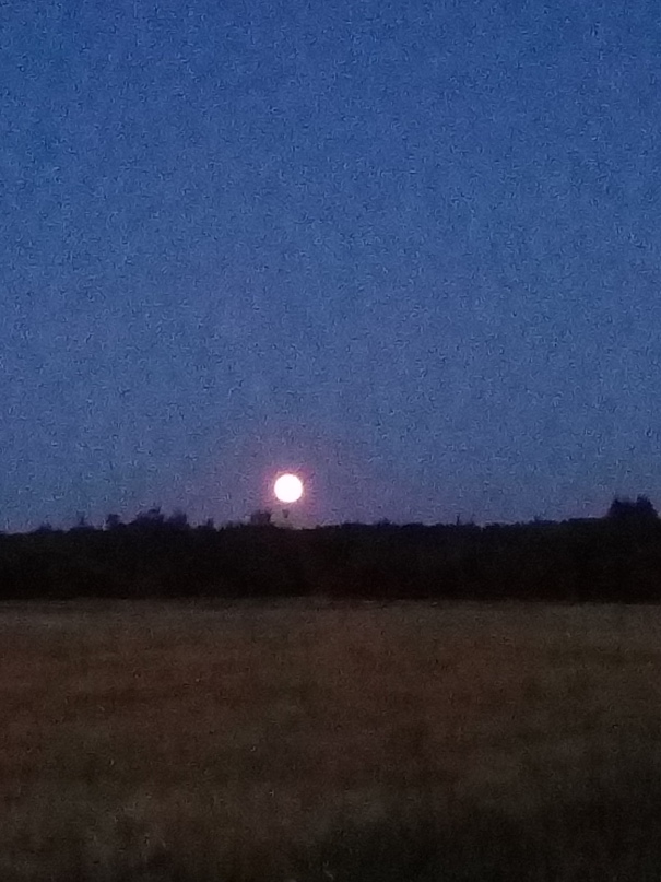 Александр Терещенко Михалыч | Ушачи