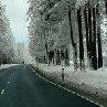 Андрей Котляр | Ирпень