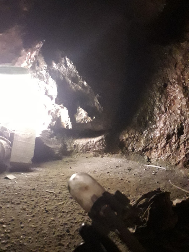 Дмитрий Зайцев .ı.lı.ıllı.l | Санкт-Петербург