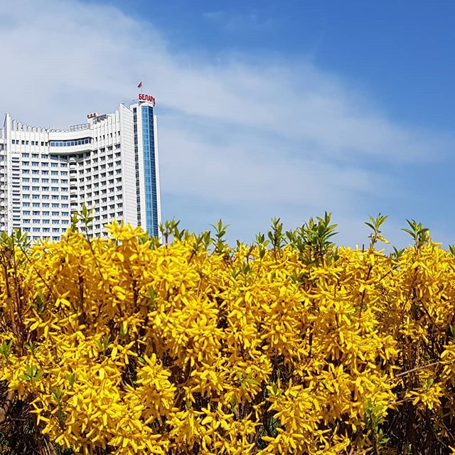 Алексей Титов | Москва