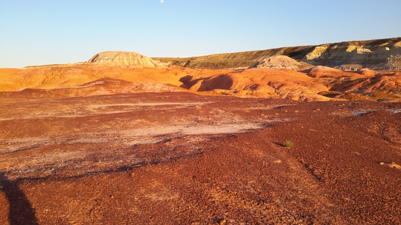 Матильда Карандашова | Санкт-Петербург