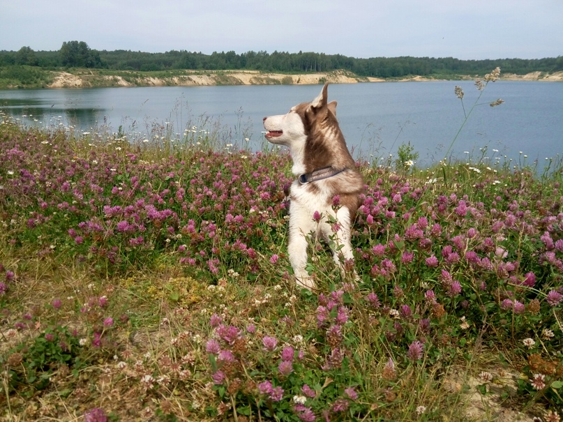 Ольга Глебова | Кандалакша