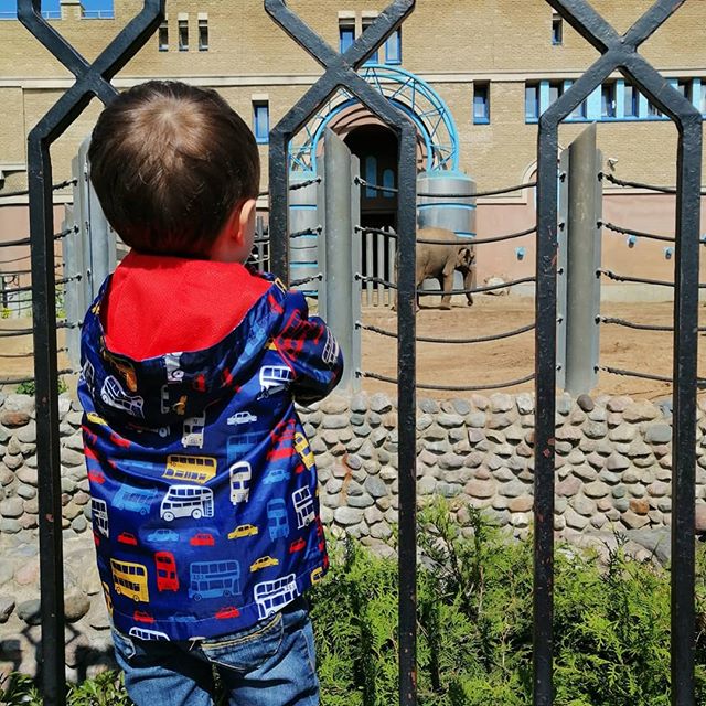 Тома Вискова | Москва