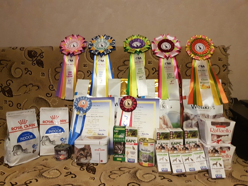 Надежда Филиппова | Ногинск